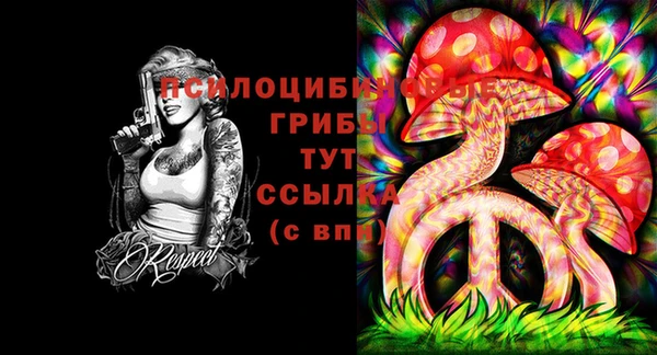 эйфоретик Алексин