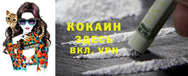 эйфоретик Алексин