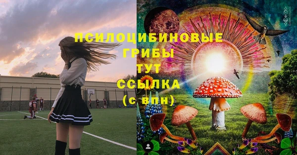 эйфоретик Алексин