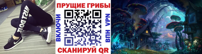 продажа наркотиков  Мичуринск  Псилоцибиновые грибы Psilocybine cubensis 