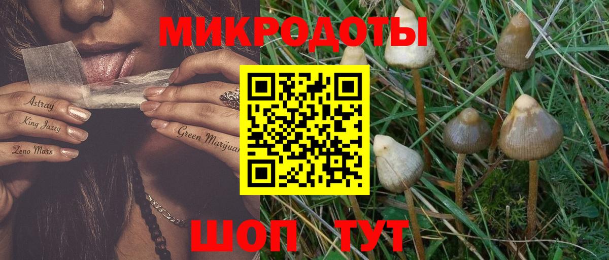 Мичуринск  Галлюциногенные грибы Magic Shrooms  Вход с VPN 
